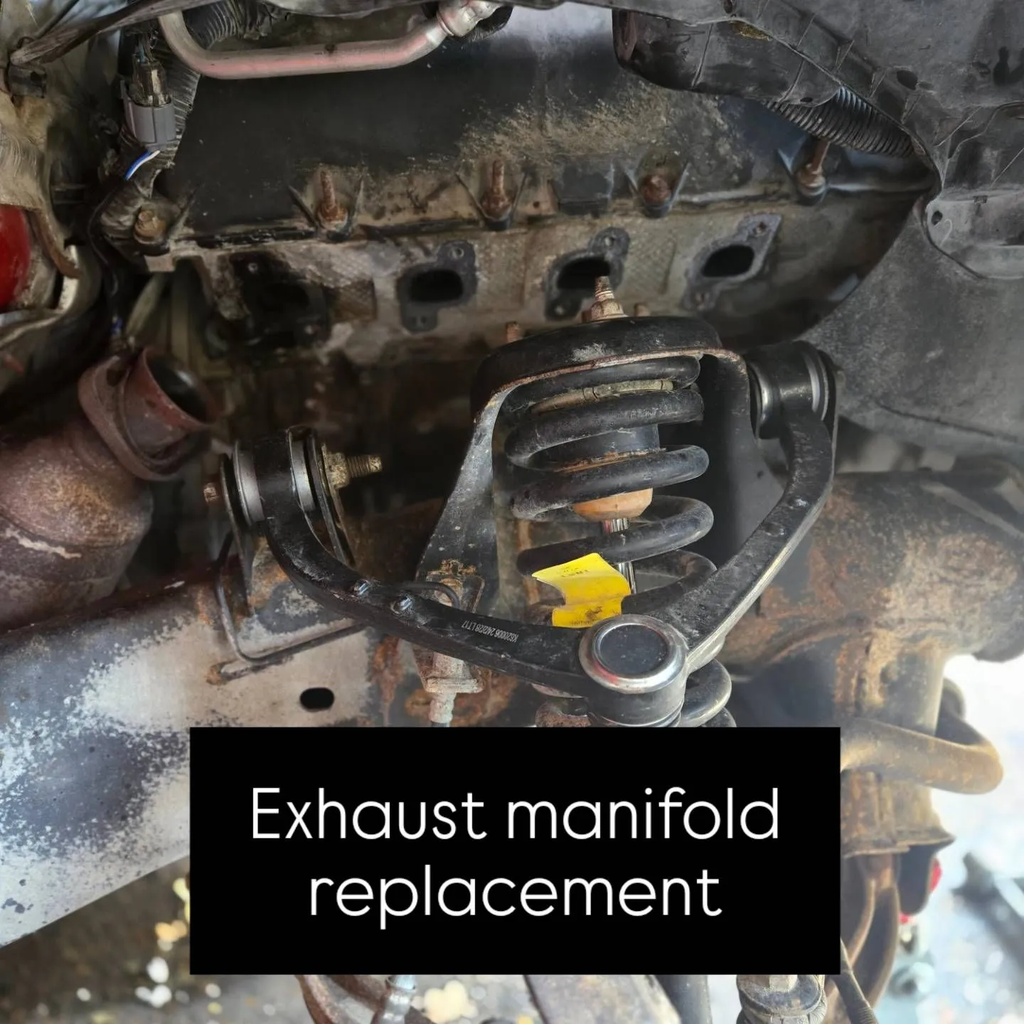 Manicured Mechanix gallery photo 25